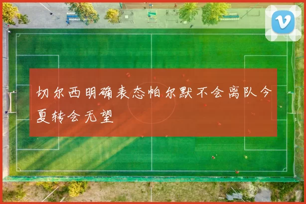 切尔西明确表态帕尔默不会离队今夏转会无望