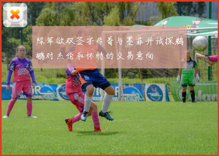绿军欲双签字母哥与墨菲并试探鹈鹕对杰伦和怀特的交易意向